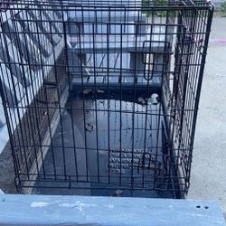Dog Cage 