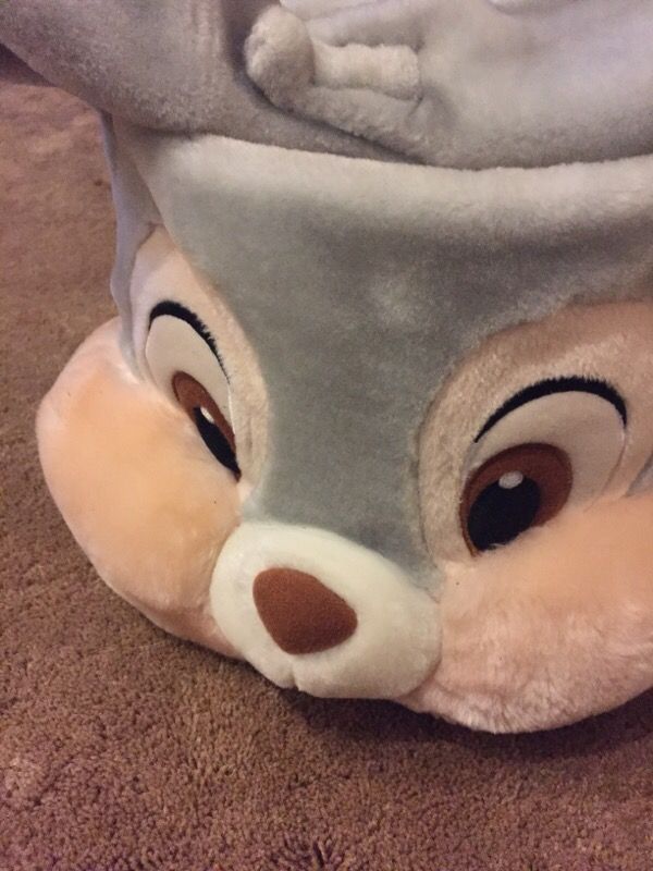 Easter rabbit bunny Easter egg basket