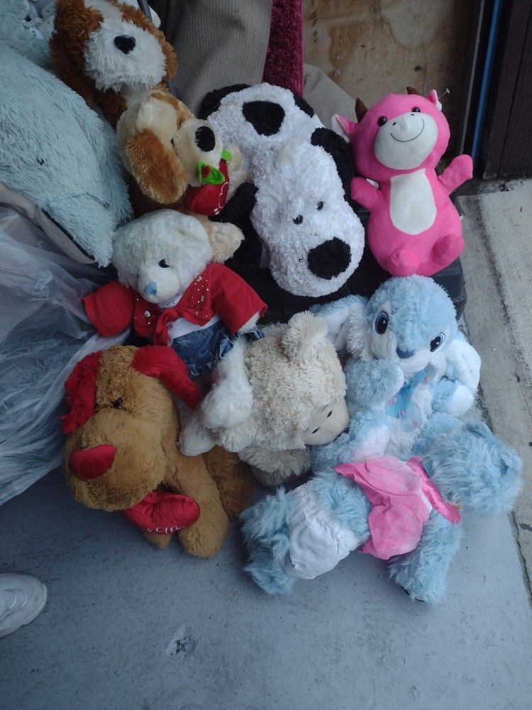 Stuffed Animals