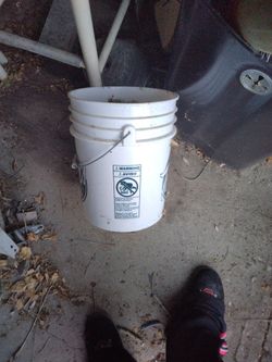 5 Gal Bucket's 