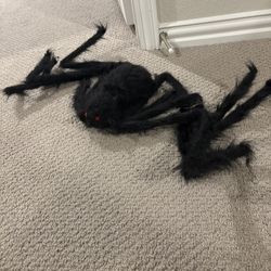 Halloween Party Decor 