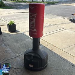 Ever last Elite Punching Bag 