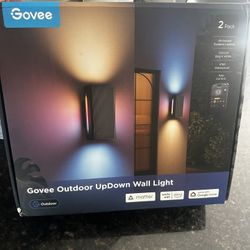 Govee Lights