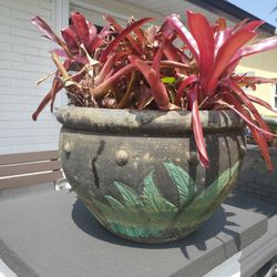 Garden Pot with Plant