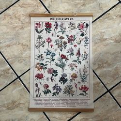 Wildflowers Poster Botanical Wall Art