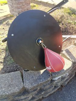 Everlast Speed Bag with Platform