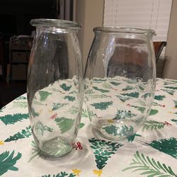 Glass Flower Vases 