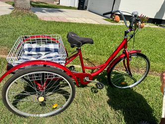 Adult tricycle