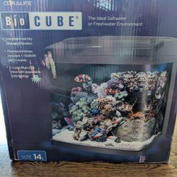 Brand New Fish Tank