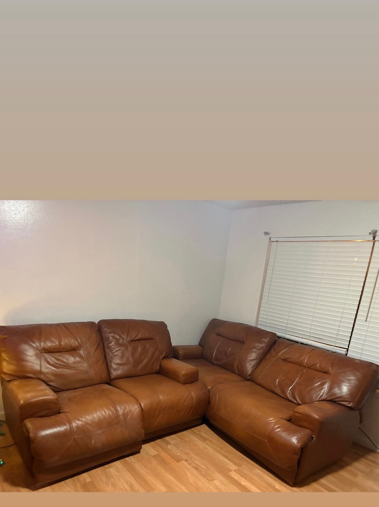 Leather Couches 