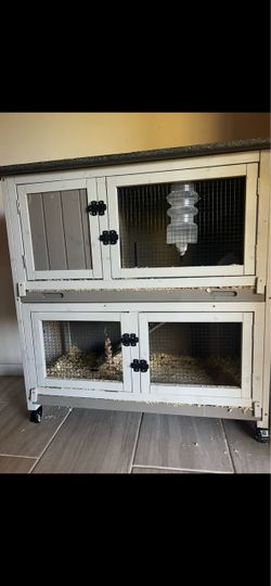 Small Pet - Large Cage / House