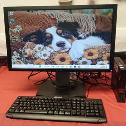 Small Dell Desktop Computer w/Win 11 Pro & Office