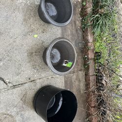 3 Large Flower Pots