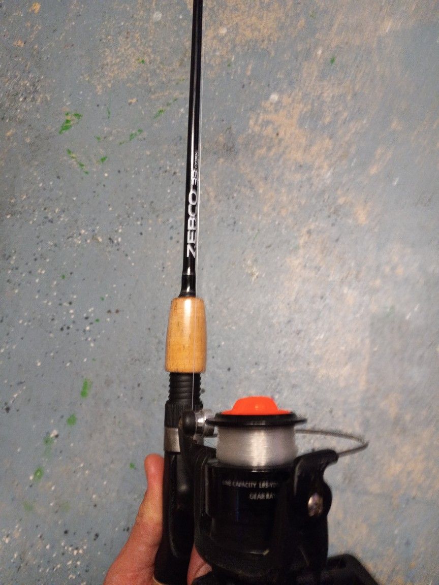 Zebco Fishing Pole And Reel