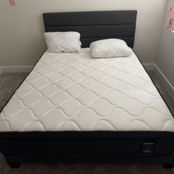 Queen Bed /w Mattress 