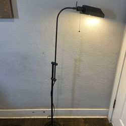 62.4-Inches Black Standard Floor Lamp with Metal Shade