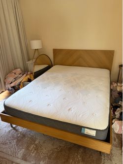 Article Bed Frame and Sealy Mattress - Queen