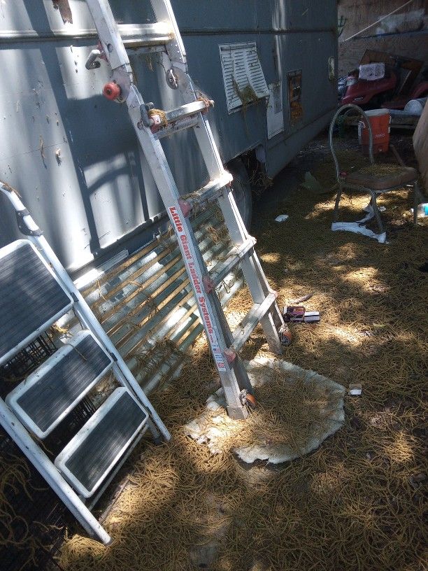 Little Giant Ladder