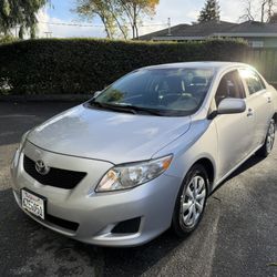 2010 Corolla 