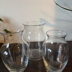Glass Vases - Set of 3