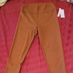 Women Pants