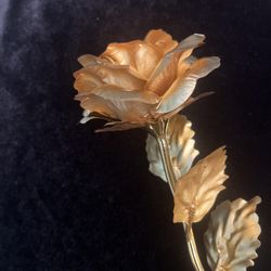 Beautiful Rose Of Love For You Or Someone On Valentines Day 