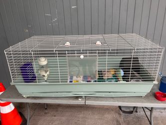 Large Rabbit / Guinea Pig Cage w/ Accessories – Great Condition