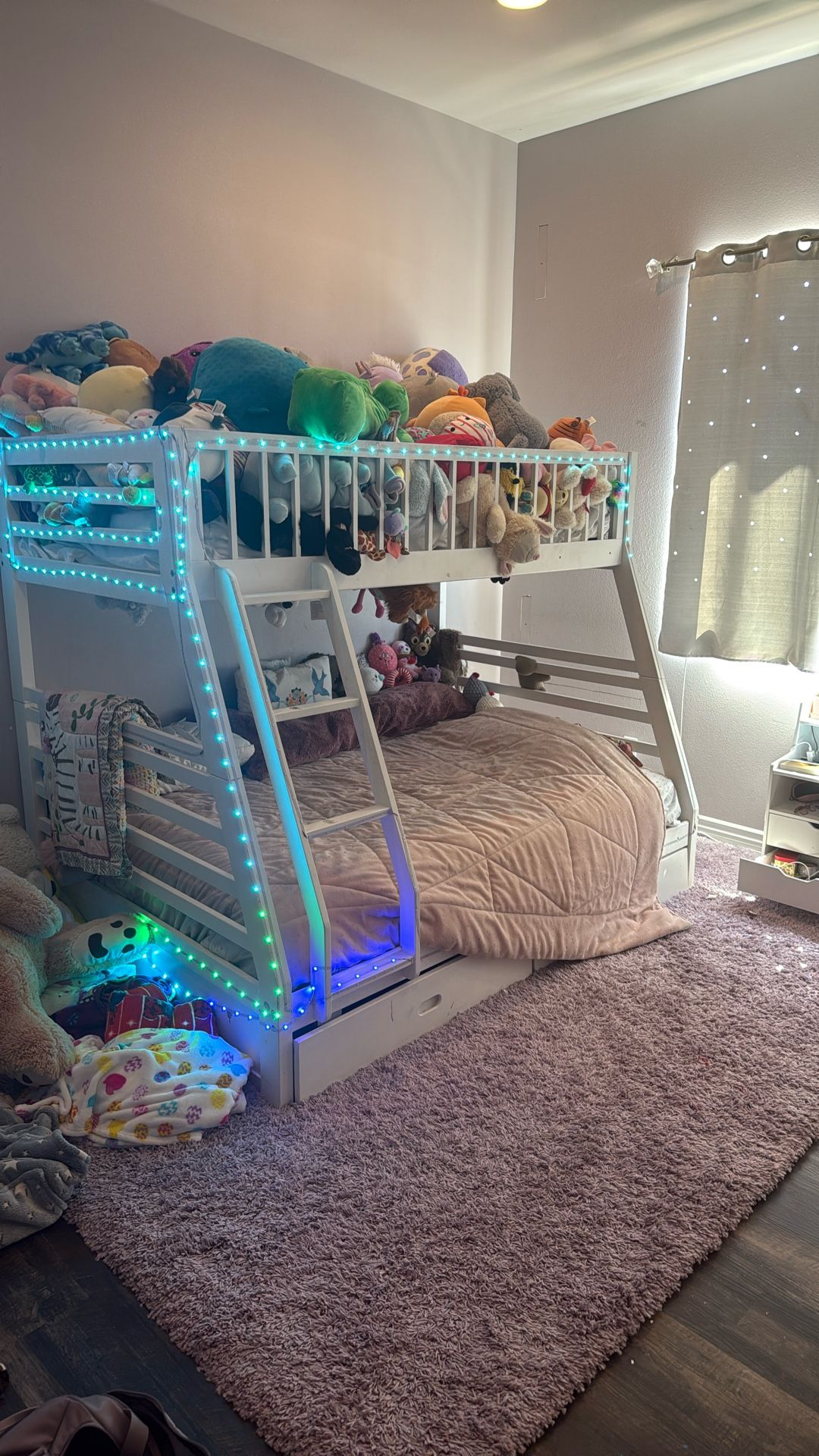 Bunk Bed. Twin On Top And Full On Bottom