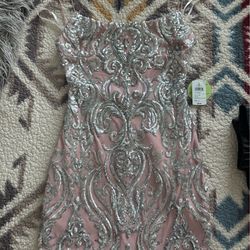 Pink and silver sequence dress