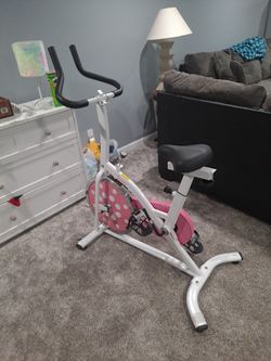 Sunny Exercise Bike 