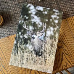 12” x 18” Canvas Print - Klamath Falls Buck 