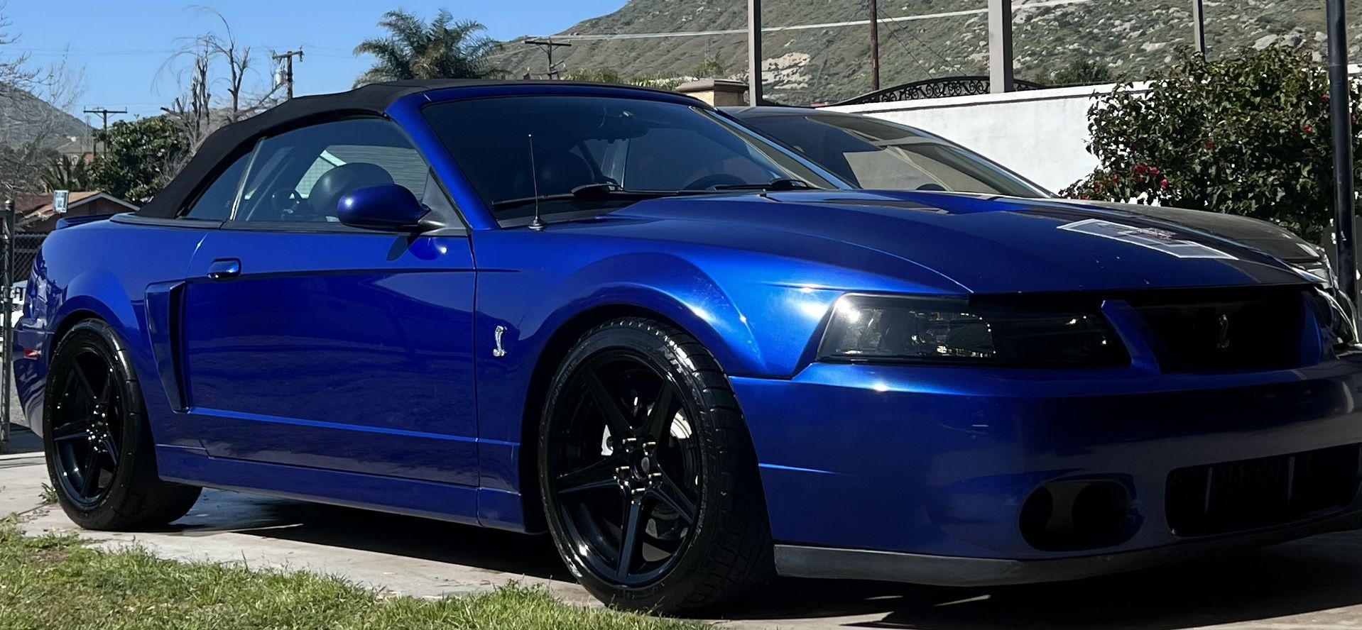 2003 Ford Mustang