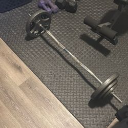 Barbell, 2x25 2x10 2x5 Lb Weights 