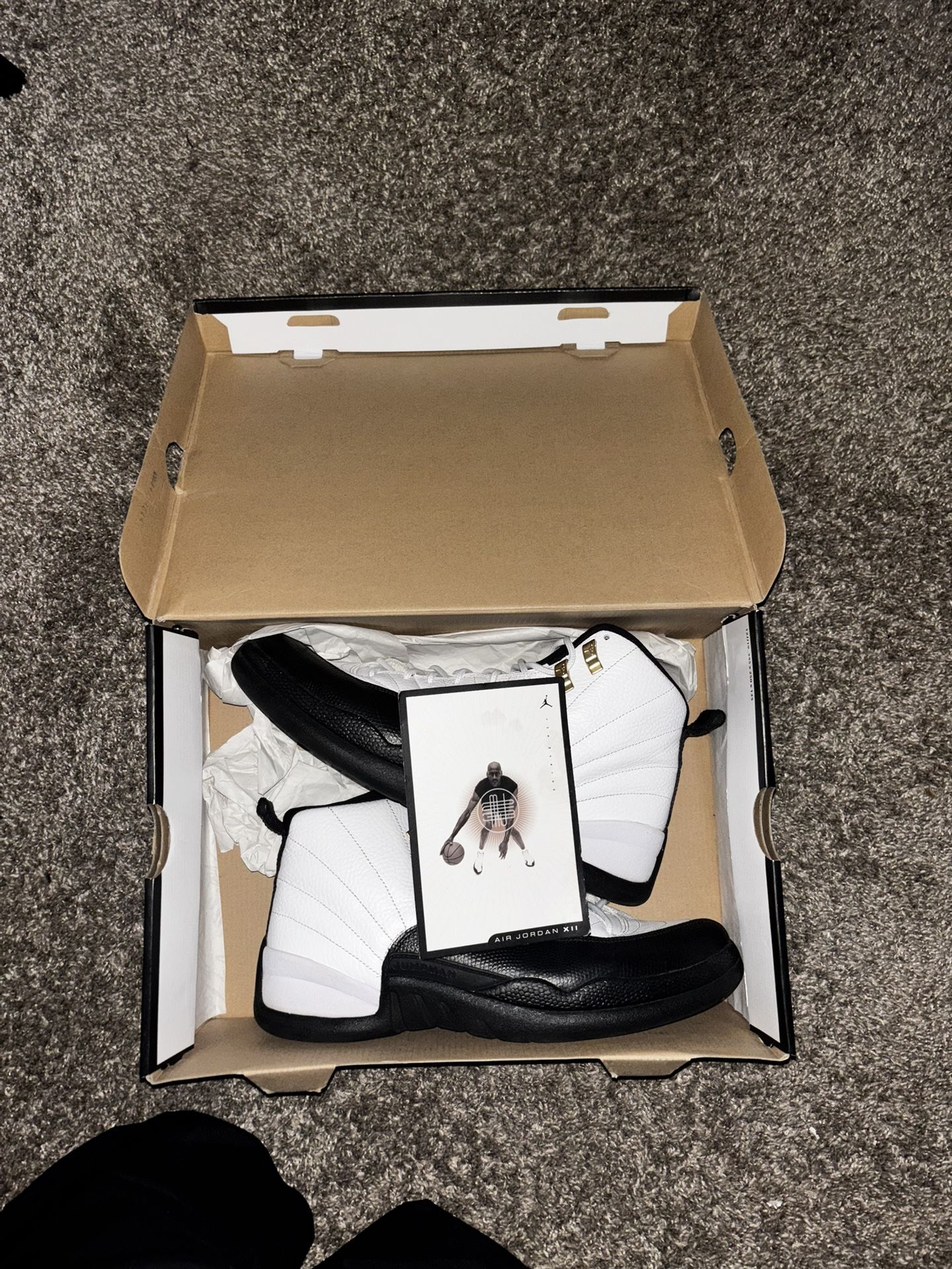 Jordan 12 Taxi 2013 Size 10 Mens