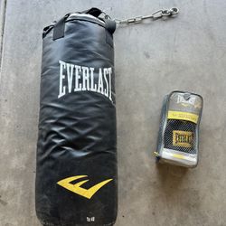 Everlast Punching Bag With Gloves 