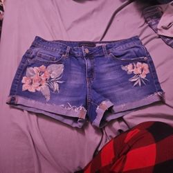 Size 10 Woman's Jean Shorts 