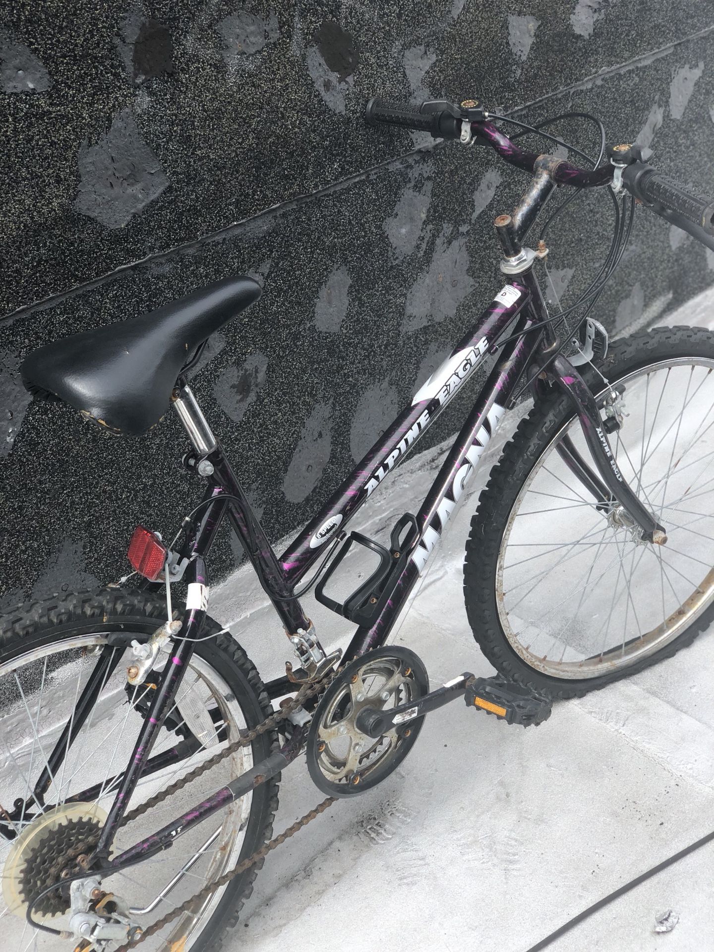 Magna Alpine Eagle 18 Speed Bike