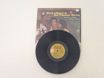 Vinyl record display hook