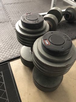 100lb Dumbbells