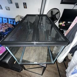 40 Gallon Tank - Hamster Or Snake