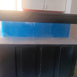 Acrylic Aquarium