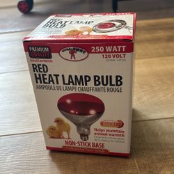 Heat Lamp Bulb