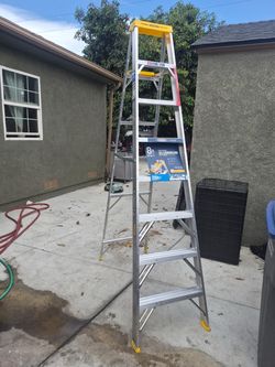 16ft Werner Ladder