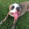 Duke