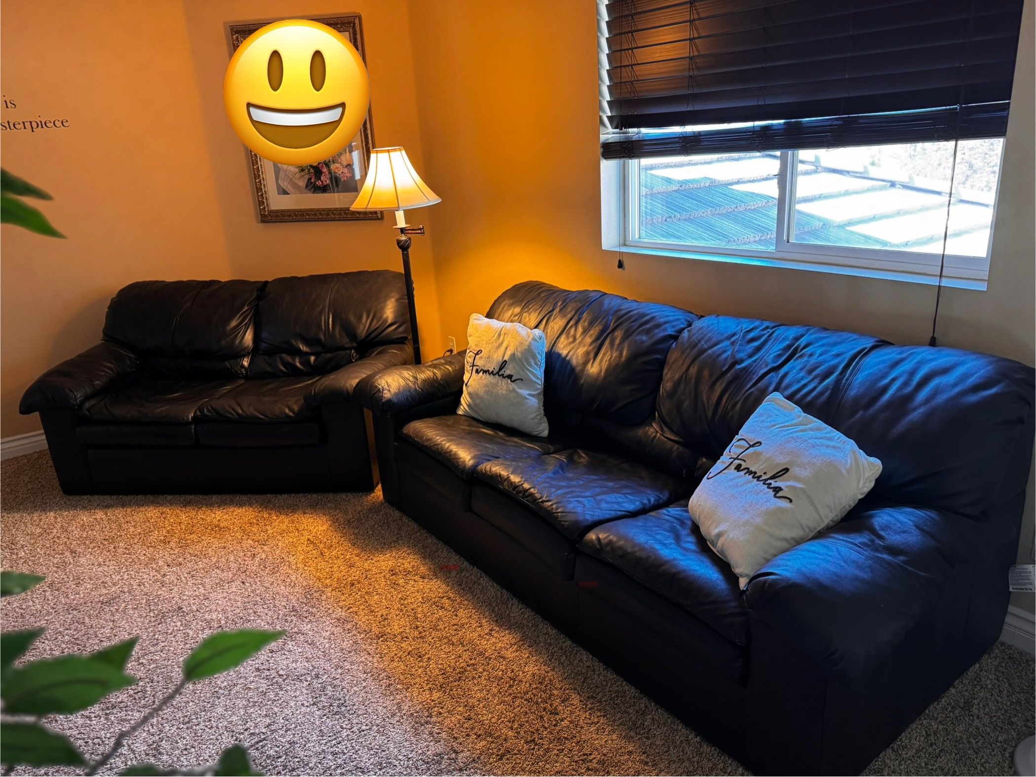 Black Leather Couches 