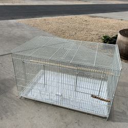 Bird Cage 