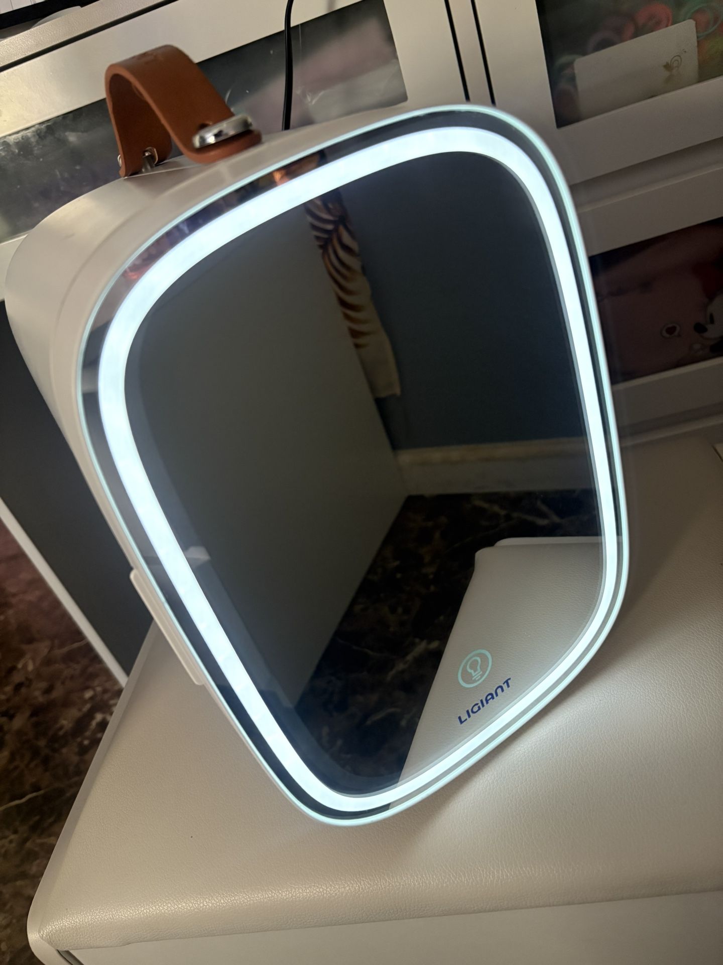 LED Mirror Mini Fridge 