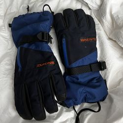 Dakine Gloves 