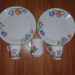 Corelle Fresh Cut Set