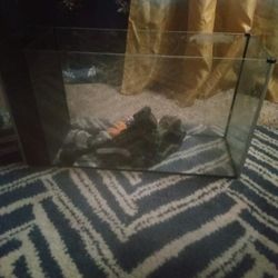 Fluval Fish Tank 5 Gallons